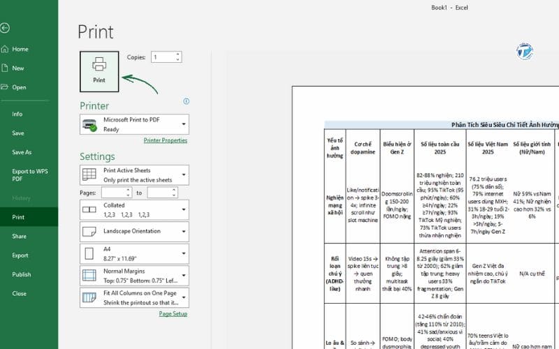 Hình ảnh in ngang vừa trang giấy A4 trong Excel bước 4 - Print Preview & In